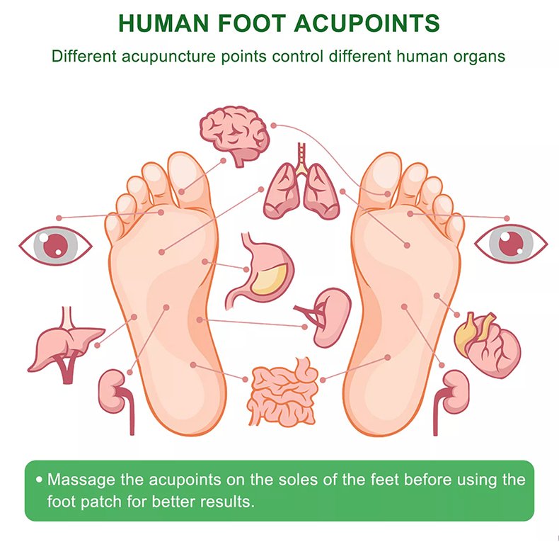 Detox Foot Pads Detoxification Foot Patch - Human Acupoints